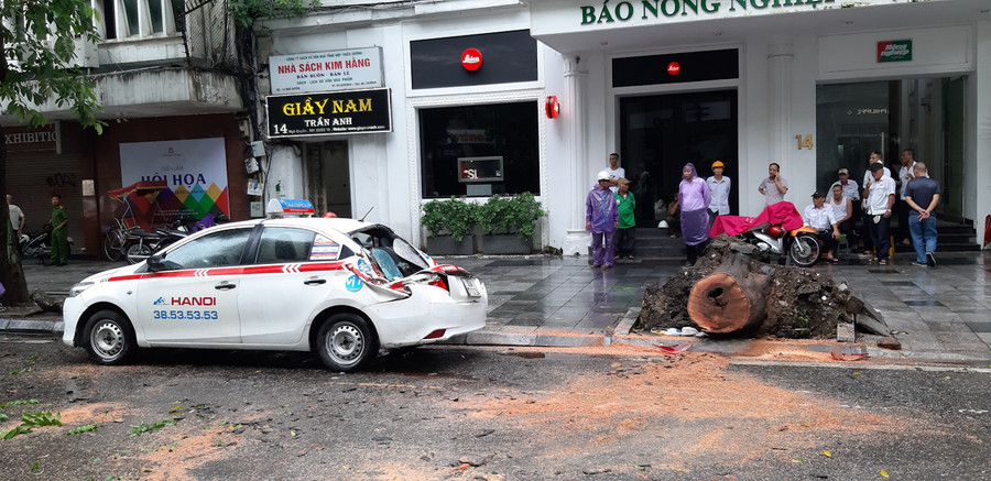Cây đổ đè bẹp phần đuôi xe taxi, ngay sau đó tài xế đã thoát được ra ngoài.