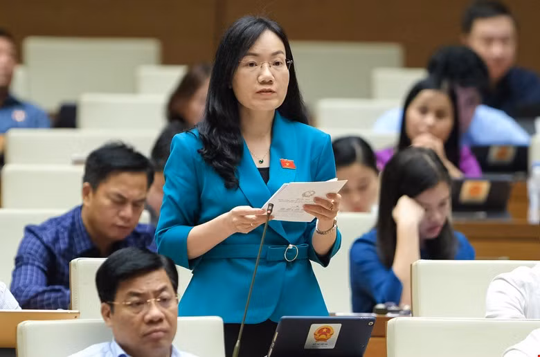 Đại biểu Quốc hội phát biểu tại kỳ họp