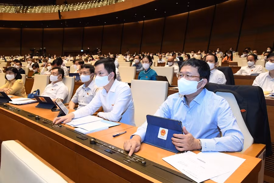 Các đại biểu biểu quyết