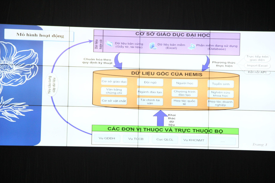 Mô hình hoạt động của HEMIS Mô hình hoạt động của HEMIS