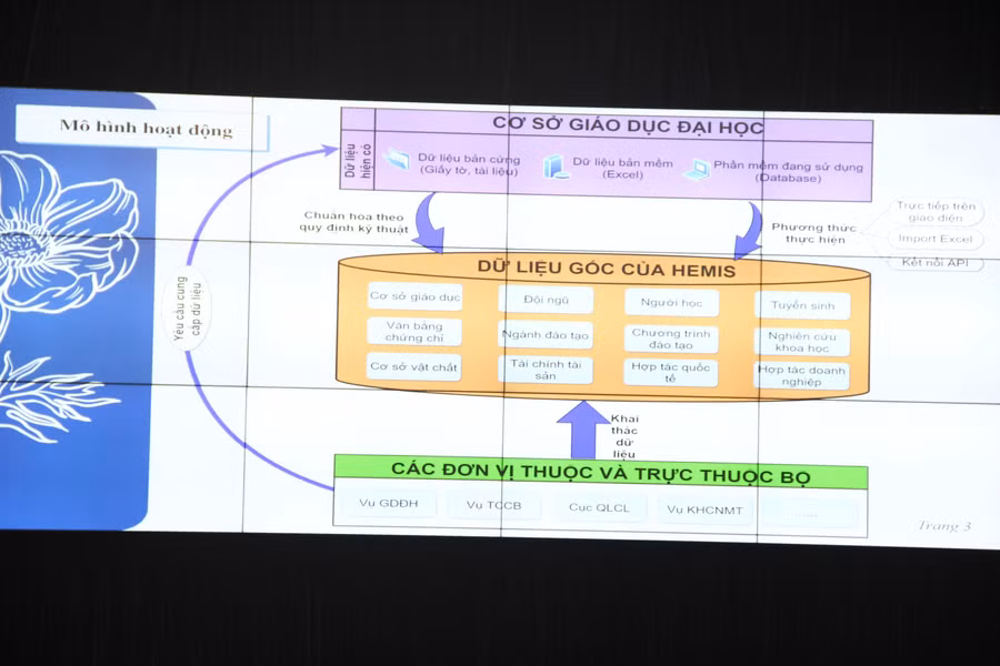 Mô hình hoạt động của HEMIS