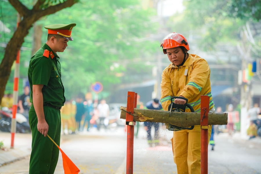 Phần thi cưa cây.