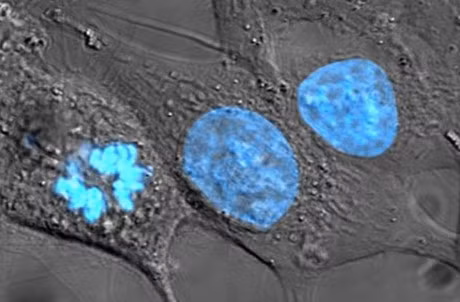 Nhung kham pha khoa hoc kho tin nam 2016 - Anh 1