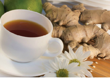 Củ gừng- Bài thuốc phòng bệnh mùa đông - Ảnh 2 Cu gung- Bai thuoc phong benh mua dong - Anh 2