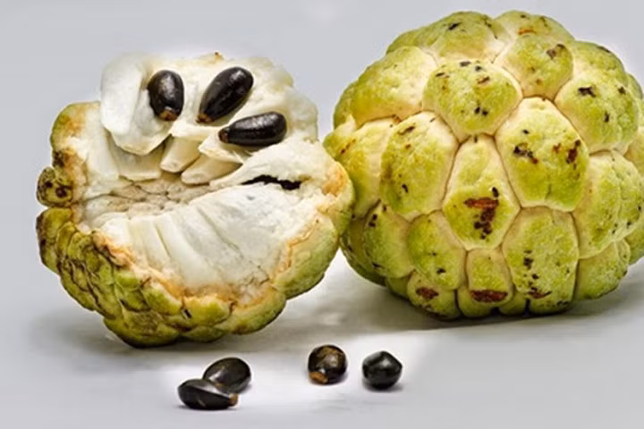 Công dụng chữa bệnh tuyệt vời của hạt và lá na