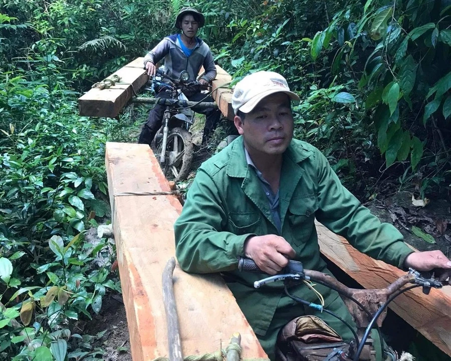 Hai đối tượng vận chuyển gỗ trái phép. Ảnh: Công an Gia Lai