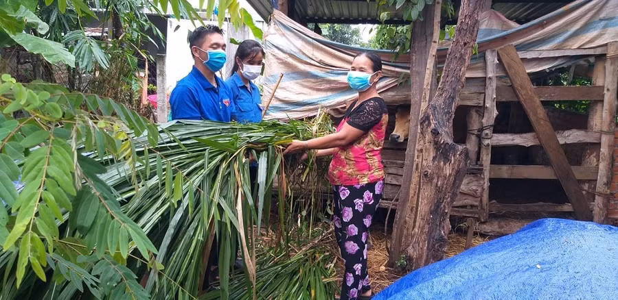 Người dân yên tâm vì đã có đội thanh niên tình nguyện cắt cỏ giao tận nhà.