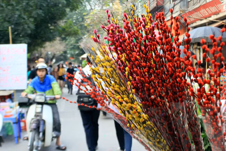 Cắm hoa Tết: Cách cắm nụ tầm xuân đẹp ngày Tết