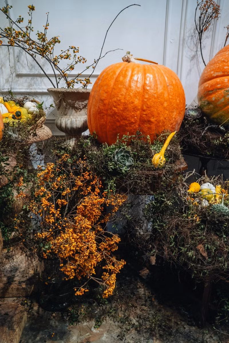 Bí khổ lồ nặng, khó vận chuyển, dễ hư, dập khi đi đường dài, lại nhiều cửa hàng đặt mua nên chi phí lúc bán cũng cao hơn.