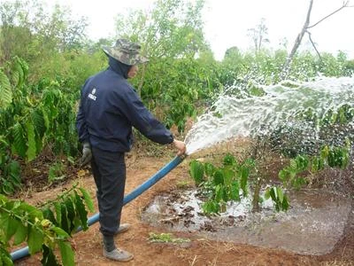 Bán xăng dầu cầm chừng, người trồng cà phê chao đảo