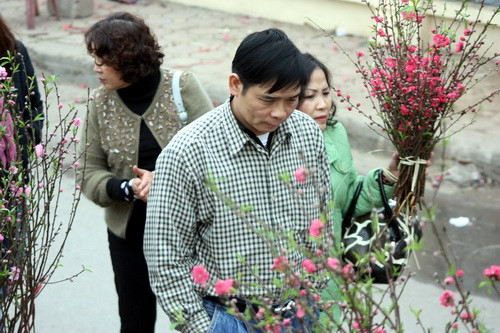 Đào bó, đào cành vẫn được nhiều người mua. Ảnh, gdtd.vn