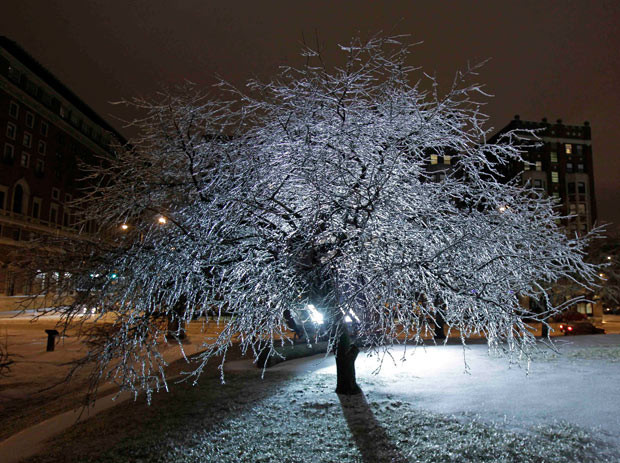 Lights reflect in the ice covering a tree on the grounds of the Indiana War Memorial in Indianapolis, US