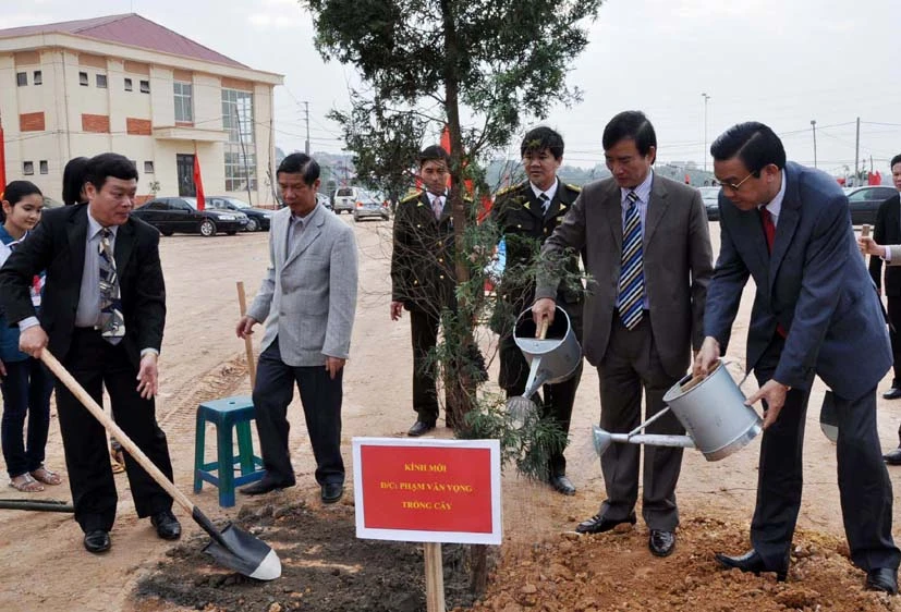 Tích cực triển khai thực hiện Tết trồng cây