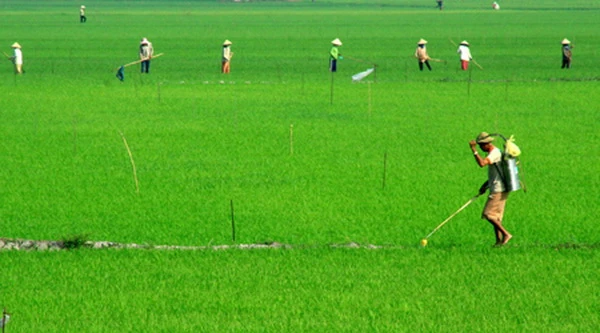 Tưng bừng ra quân sản xuất đầu năm