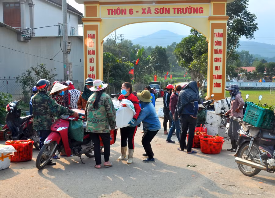 Khắp các đường làng, ngõ thôn tại các vựa cam đều tấp nập trong những ngày giáp Tết.