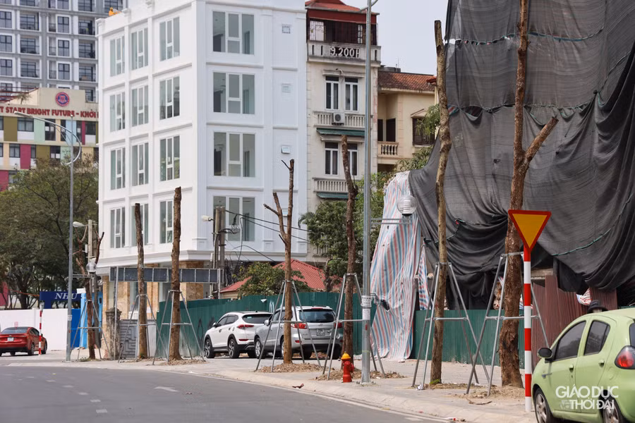 Điều đáng chú ý là hệ thống cây xanh được trồng trên tuyến đường này sau khi đưa vào sử dụng thì ngày càng khô héo, trơ trụi mất đi dấu hiệu của sự sống. Tình trạng này đã đi ngược lại với những kỳ vọng, mong muốn về giảm ô nhiễm, khói bụi của người dân thủ đô.