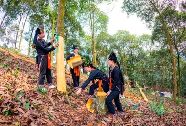 Giáo dục đổi thay cùng với xây dựng nông thôn mới ở xã khó khăn Đại Sơn