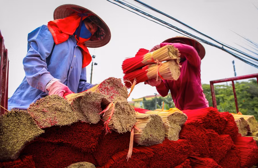 Sau khi thu tăm nhang, nhưng người thợ sẽ vận chuyển về công xưởng chính để sắp xếp, đóng thành cọc để tăm nhang dễ dàng vận chuyển đi se hương.