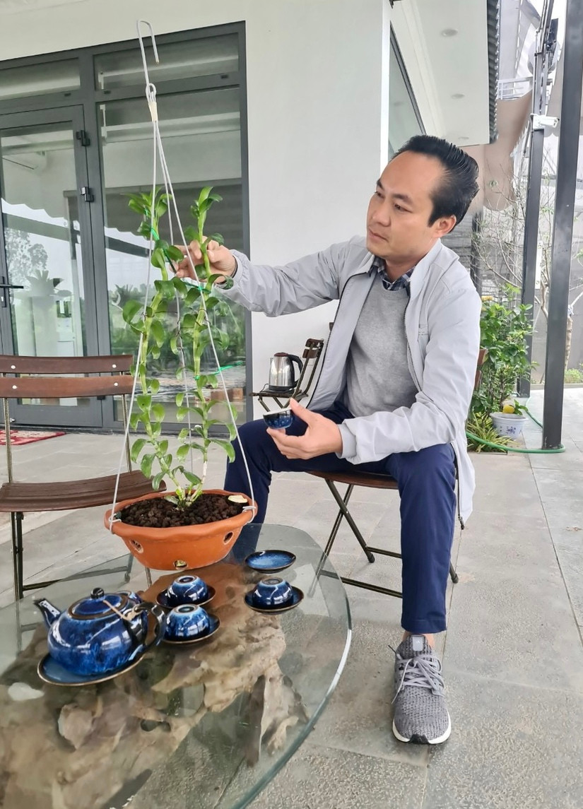 Niềm đam mê hoa lan của nghệ nhân Minh Xa