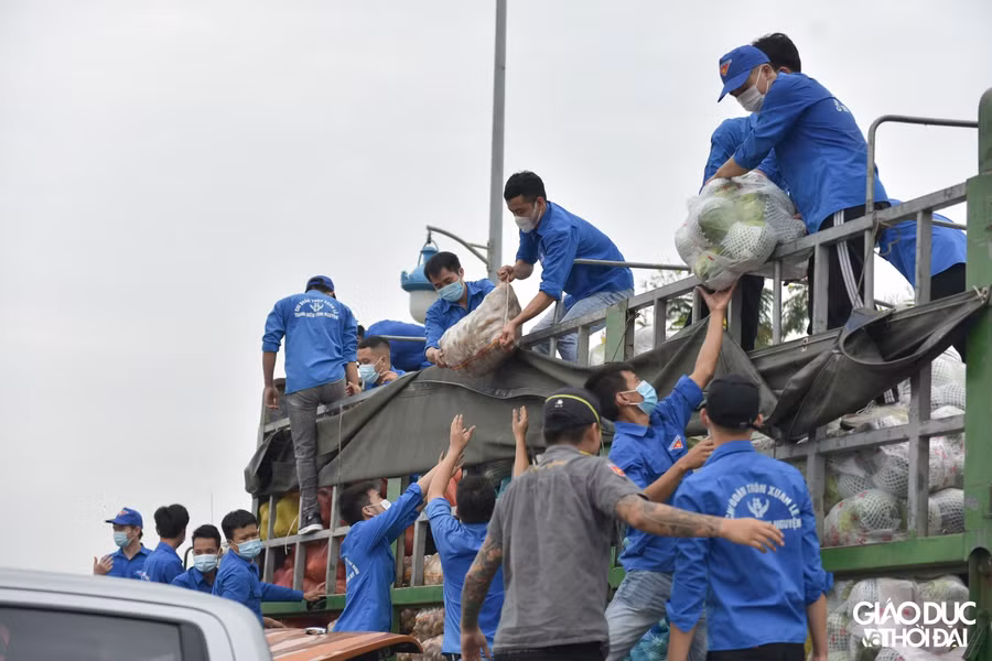 Tuổi trẻ Lào Cai gửi tặng Hà Nội 15 tấn rau, củ, quả chống dịch Covid-19 ảnh 5