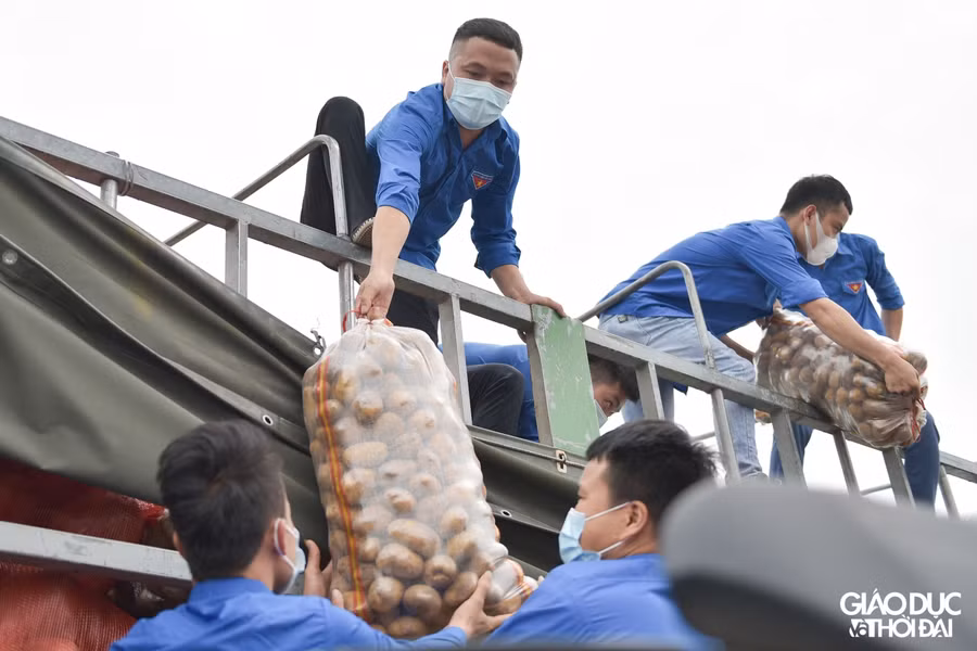 Số lượng nông sản còn lại được phân bổ đều, phục vụ cho các hoạt động như: Nấu các suất ăn hỗ trợ người khó khăn, lao động tự do, sinh viên đang ở lại các khu ký túc xá, khu trọ bị ảnh hưởng bởi dịch bệnh Covid-19, gửi tặng các khu cách ly,…