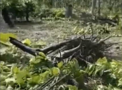 Hiện trường nơi xảy ra vụ việc.