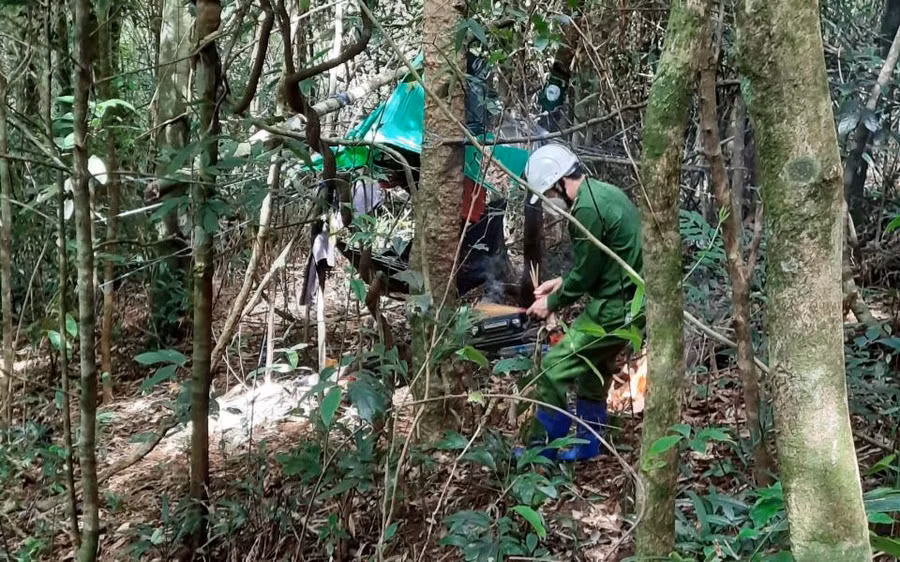 Cơ quan công an điều tra, làm rõ vụ việc. Cơ quan công an điều tra, làm rõ vụ việc.