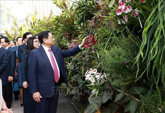 Thủ tướng Phạm Minh Chính và Phu nhân tham quan Vườn Thực vật Singapore (Botanic Garden). Thủ tướng Phạm Minh Chính và Phu nhân tham quan Vườn Thực vật Singapore (Botanic Garden).