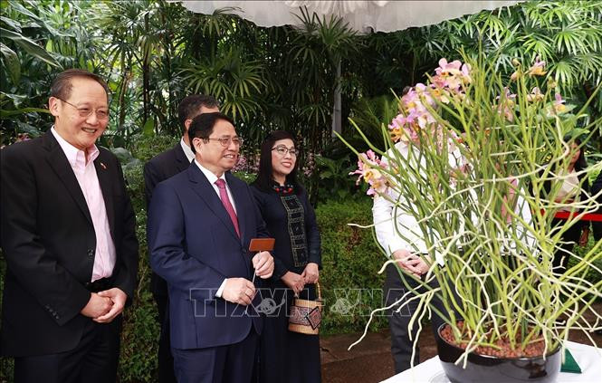 Thủ tướng Phạm Minh Chính và Phu nhân gắn biển tên cho cây hoa lan mang tên Phạm Lê Trân Chính. Thủ tướng Phạm Minh Chính và Phu nhân gắn biển tên cho cây hoa lan mang tên Phạm Lê Trân Chính.