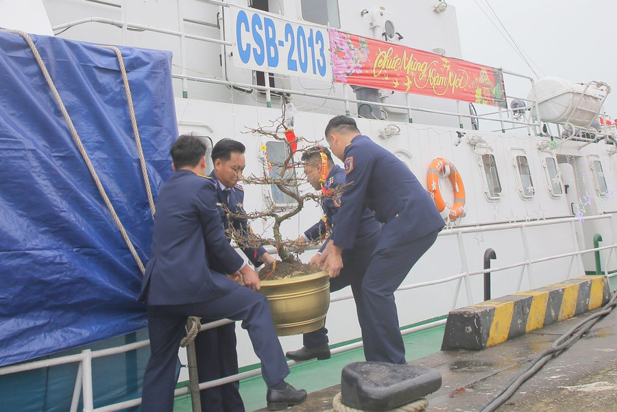 Các cán bộ, chiến sĩ Cảnh sát biển thuộc Hải đội 202 vận chuyển hoa mai lên tàu để tạo không khí ngày Xuân.