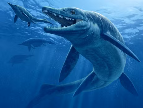 Top 10 loai sinh vat dang so nhat thoi tien su - Anh 7