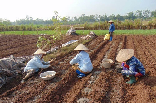 Ảnh minh họa/internet