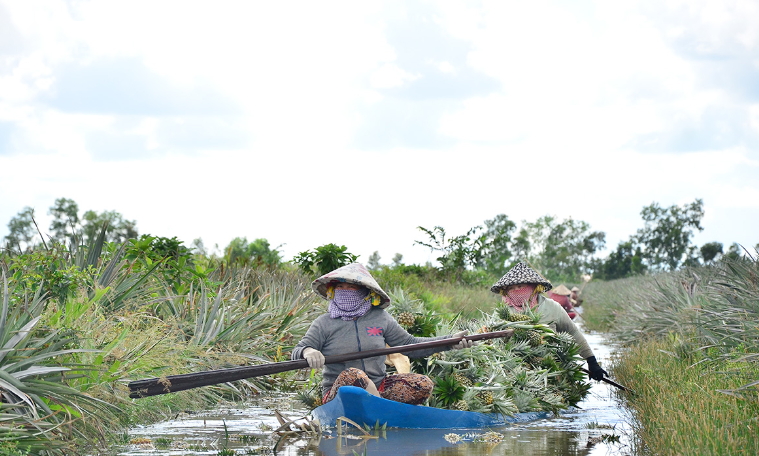 Đời sống đồng bào huyện Giồng Riềng thay đổi từng ngày.