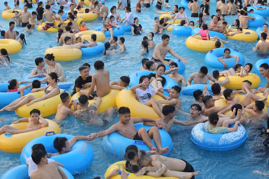 Nhiều khu vực hồ bơi đều ken đặc người.