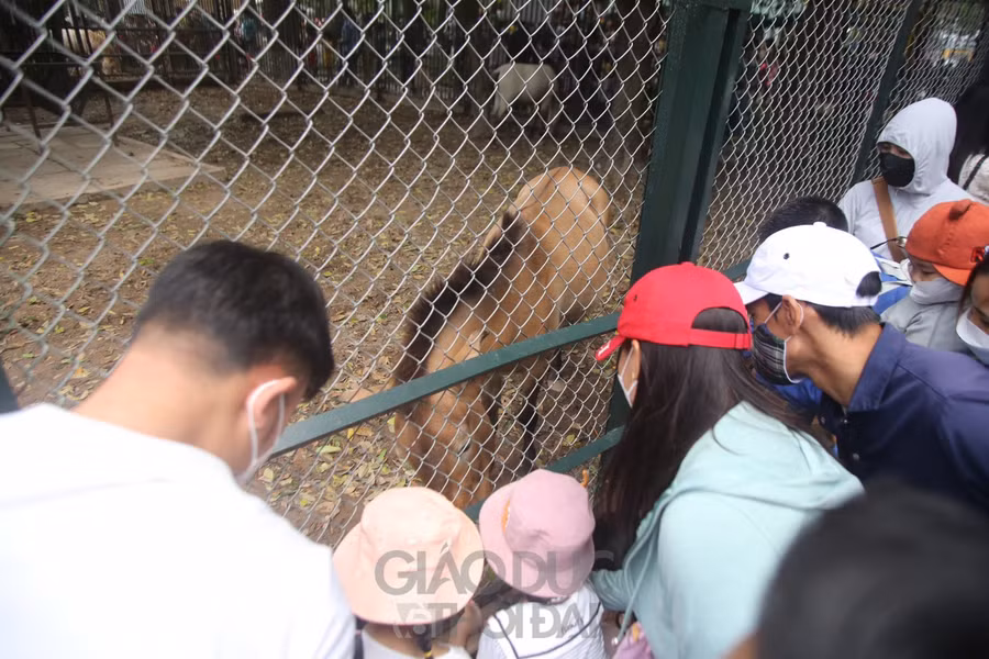 Nhiều điểm vui chơi ở Hà Nội "đông nghẹt" người, quá tải trong ngày 1/5 ảnh 4