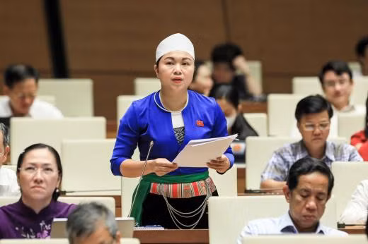 Đại biểu Đặng Thị Bích Ngọc.