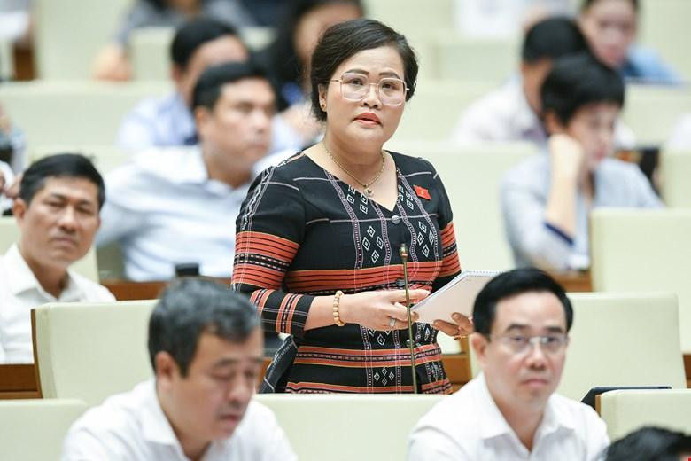 Đại biểu Nguyễn Thị Sửu. Đại biểu Nguyễn Thị Sửu.