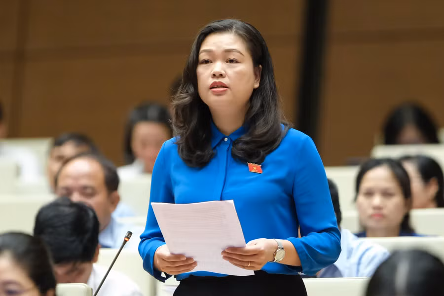 Đại biểu Đoàn Thị Lê An