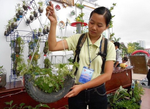 Trồng cây trên vỏ xe phế thải