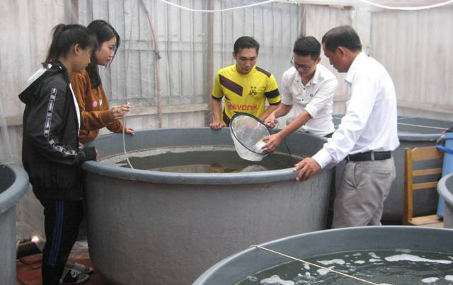 Nhóm nghiên cứu tôm giống thực hành với sự hỗ trợ của GV