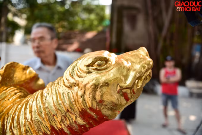 Phần đầu của tiêu bản "cụ" rùa là khó tạo hình nhất bởi khi nhìn vào rùa Hồ Gươm phải có nét riêng.