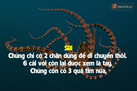 7 sự thật đời thường sai bét nhưng ai cũng cho là đúng - Ảnh 5 7 su that doi thuong sai bet nhung ai cung cho la dung - Anh 5