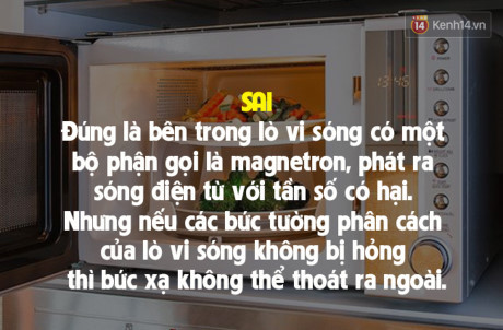 7 sự thật đời thường sai bét nhưng ai cũng cho là đúng - Ảnh 11 7 su that doi thuong sai bet nhung ai cung cho la dung - Anh 11