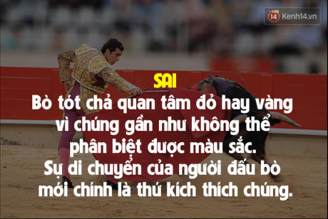 7 sự thật đời thường sai bét nhưng ai cũng cho là đúng - Ảnh 3 7 su that doi thuong sai bet nhung ai cung cho la dung - Anh 3