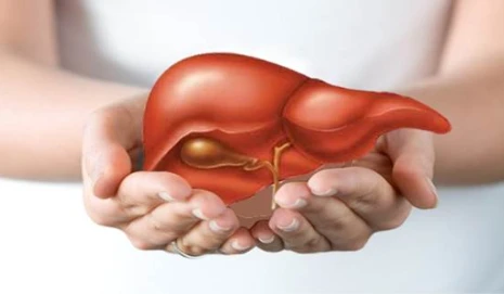 10 điều bạn có thể chưa biết về gan