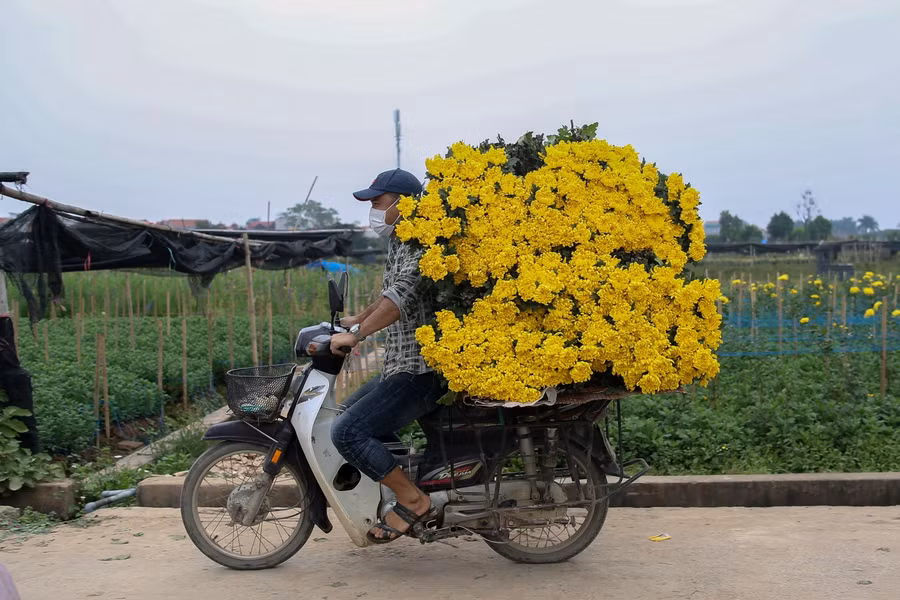 Thỉnh thoảng tại nơi đây mới có 1 xe hoa được chở đi bán.