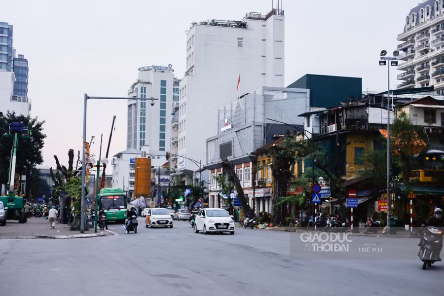 Đoạn vỉa hè trên phố Trần Hưng Đạo sau khi một số cây bị chặt hạ.