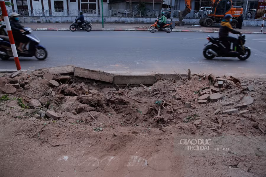 Sau khi di chuyển những vị trí cây dời đi được lát gạch đồng bộ với vỉa hè.