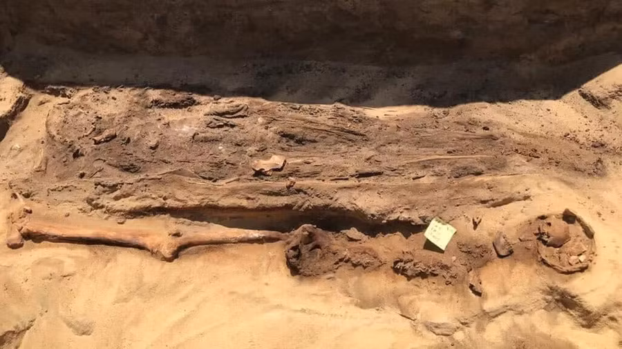 Những xác ướp có niên đại khoảng 2.000 năm. Ảnh: Bộ Du lịch và Cổ vật Ai Cập.