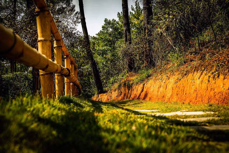 Vẻ đẹp bình yên của Địa Tạng Phi Lai tự ảnh 12